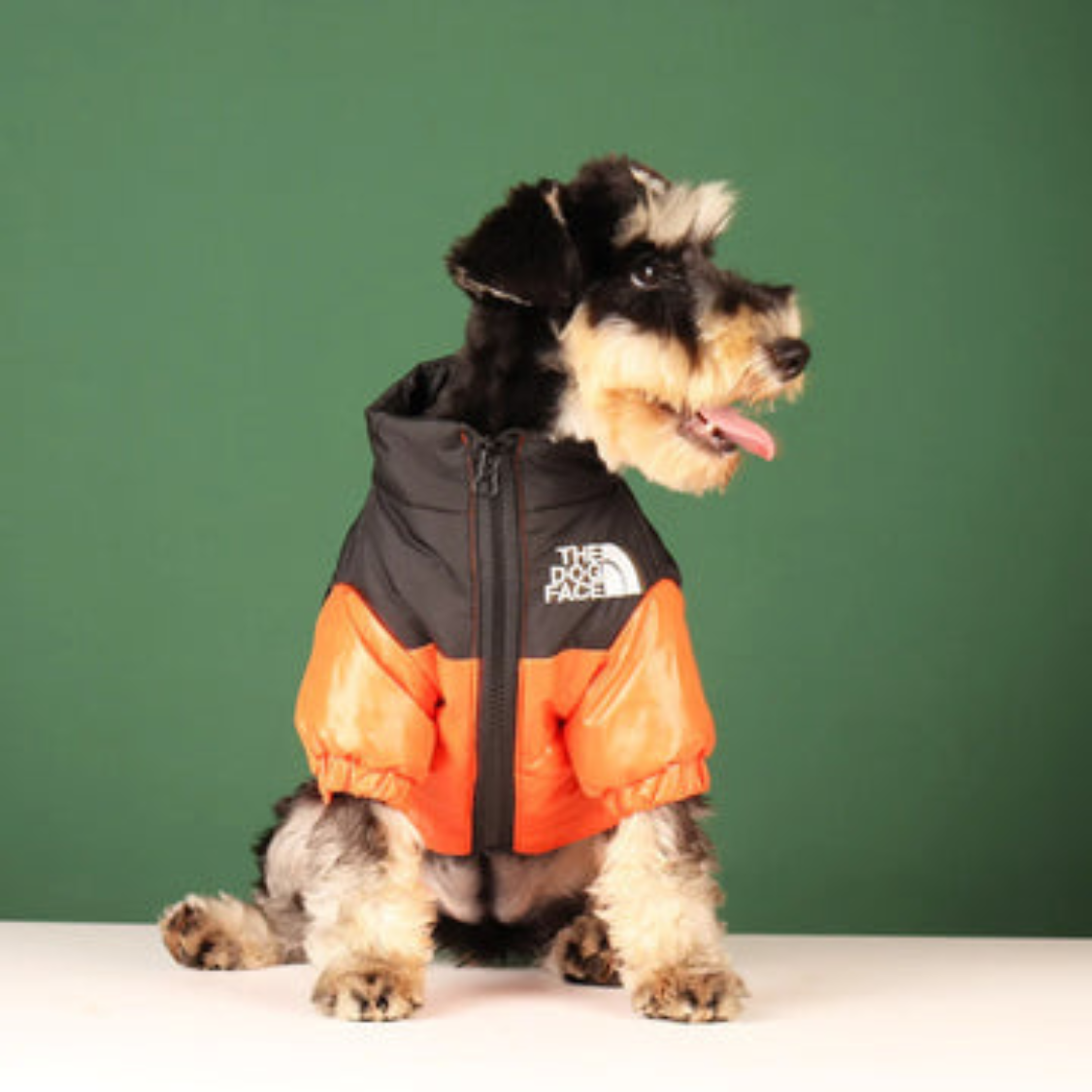 The Dog Face ™ Regenjacke